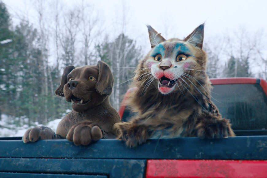 Komedia Pies i kot wkrótce w kinach. Kiedy premiera?